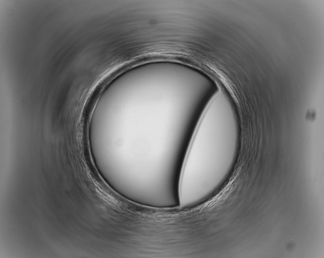 X0000101100779200806261043
