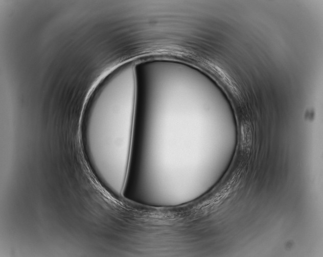 X0000101100780200806261043