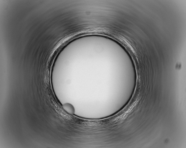 X0000101100781200806261043