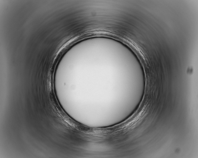 X0000101100782200806261043