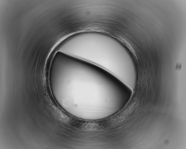 X0000101100784200806261043