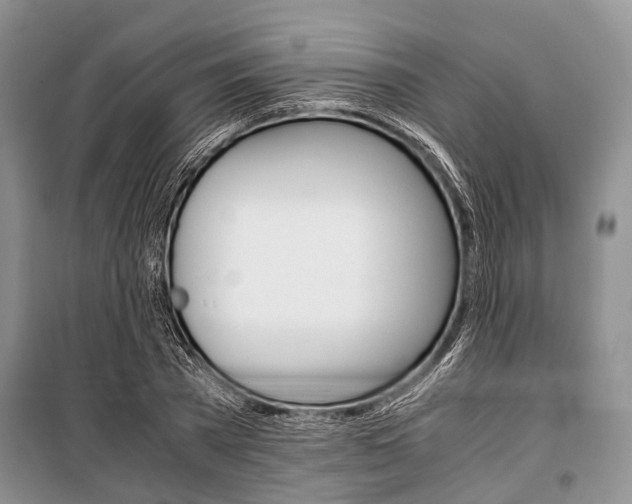 X0000101100785200806261043