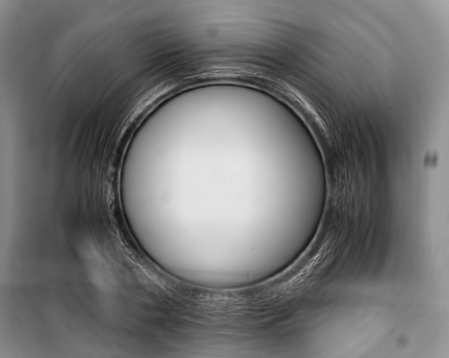 X0000101100786200806261043