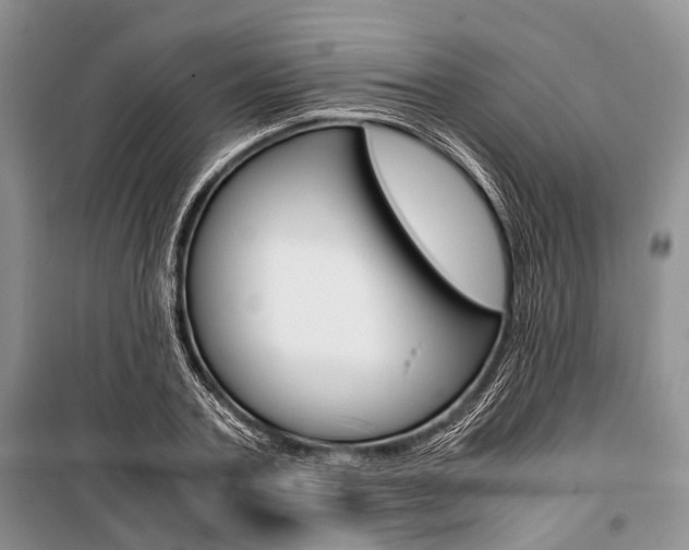 X0000101100787200806261043