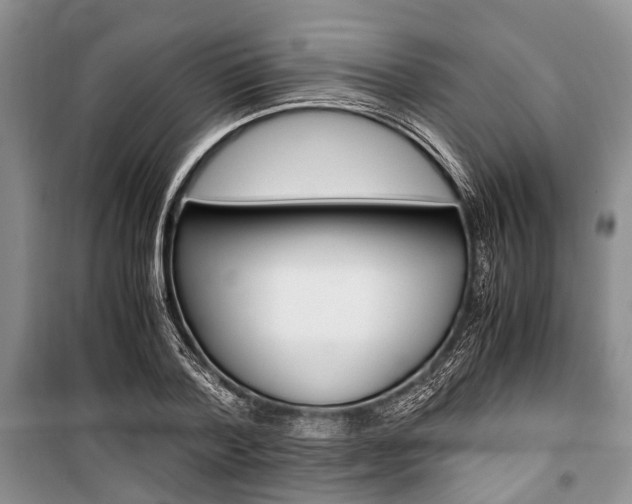 X0000101100788200806261043