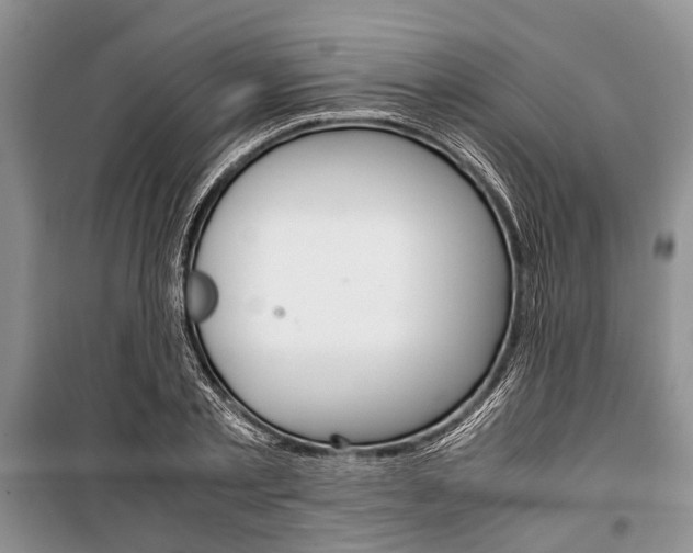 X0000101100789200806261043