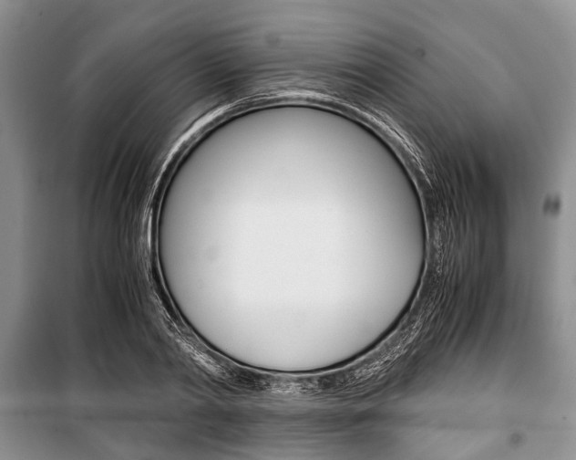 X0000101100790200806261043