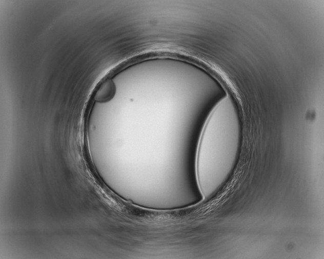 X0000101100791200806261043