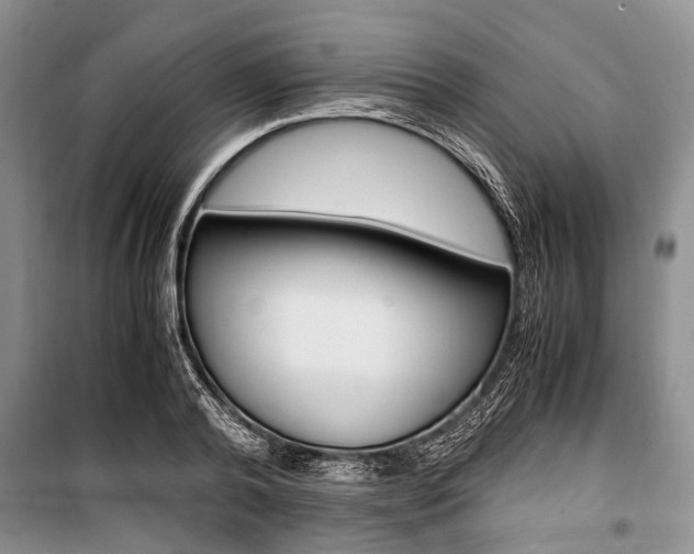 X0000101100792200806261043