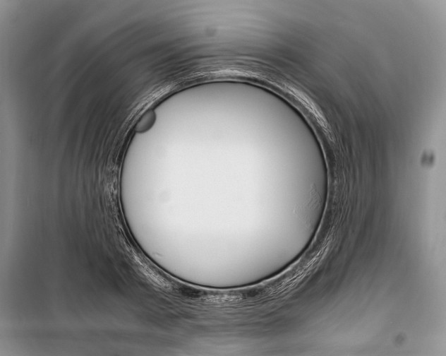 X0000101100793200806261043