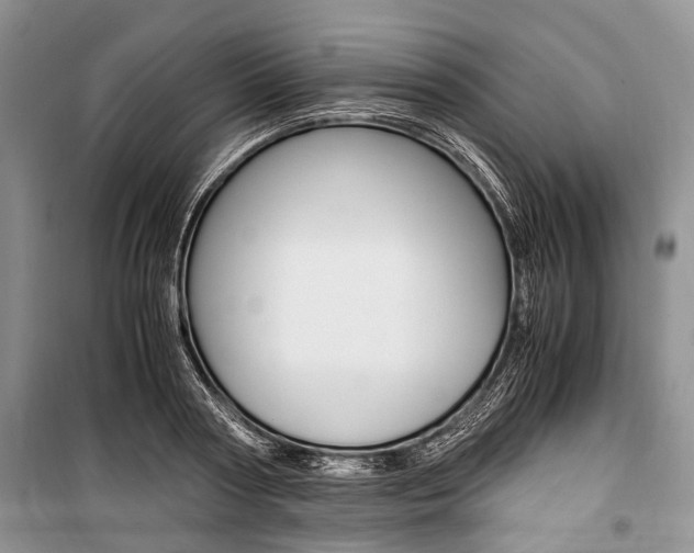 X0000101100794200806261043