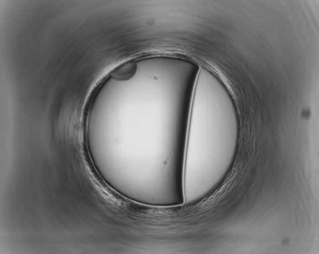 X0000101100795200806261043