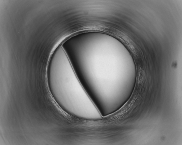 X0000101100796200806261043