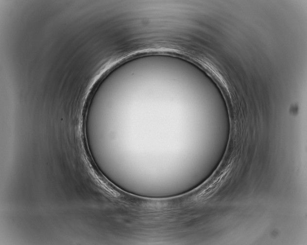 X0000101100797200806261043