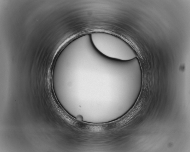 X0000101100798200806261043