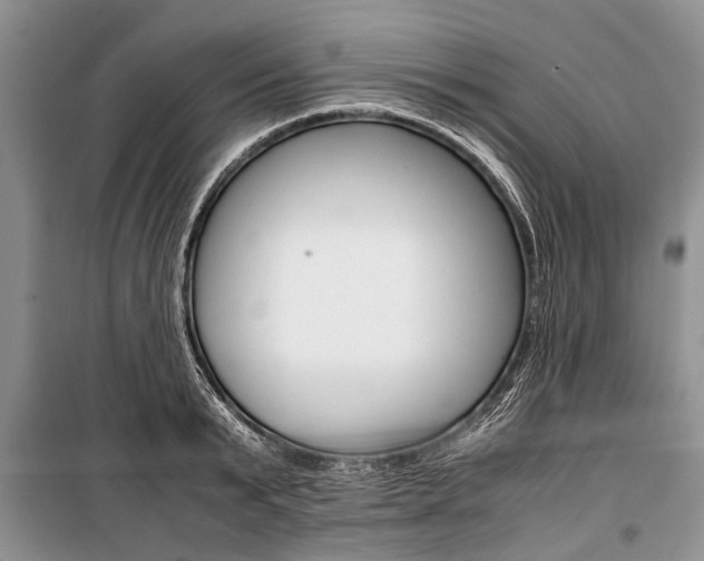 X0000101100799200806261043