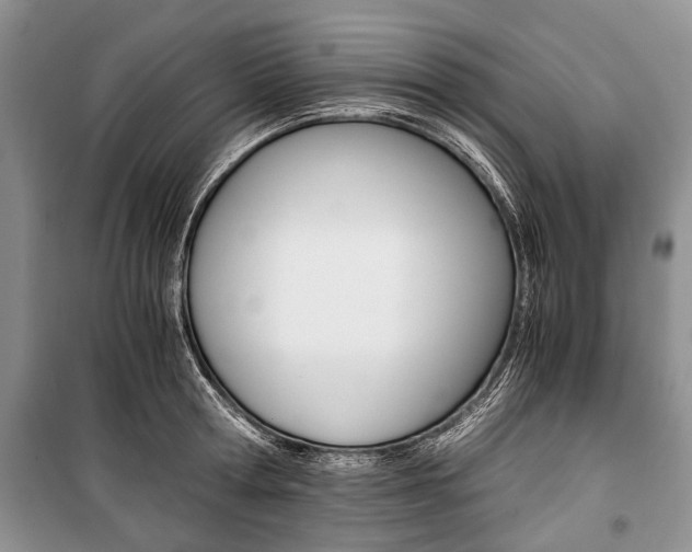 X0000101100802200806261043