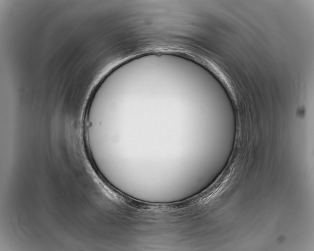 X0000101100803200806261043
