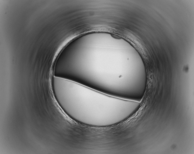 X0000101100804200806261043