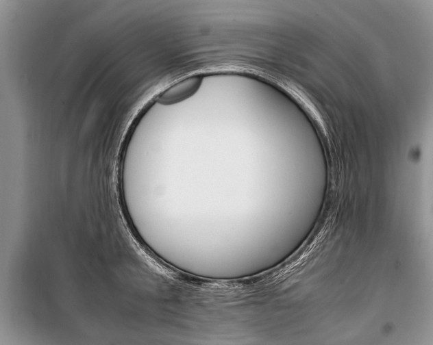 X0000101100805200806261043