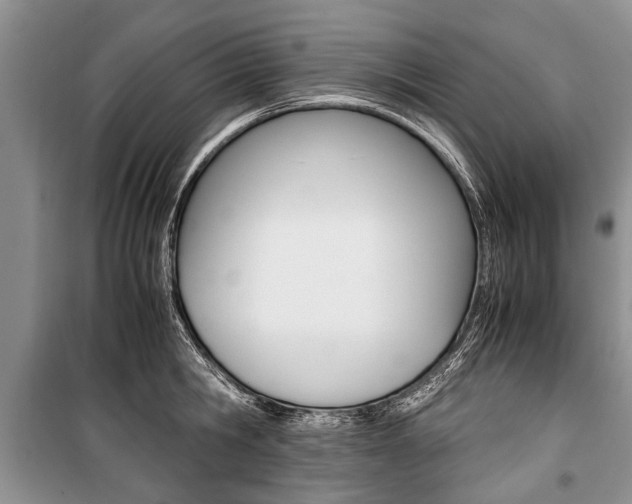 X0000101100806200806261043