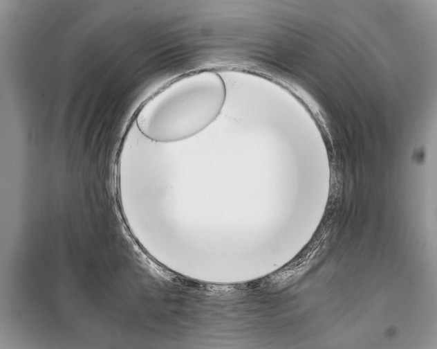 X0000101100807200806261043