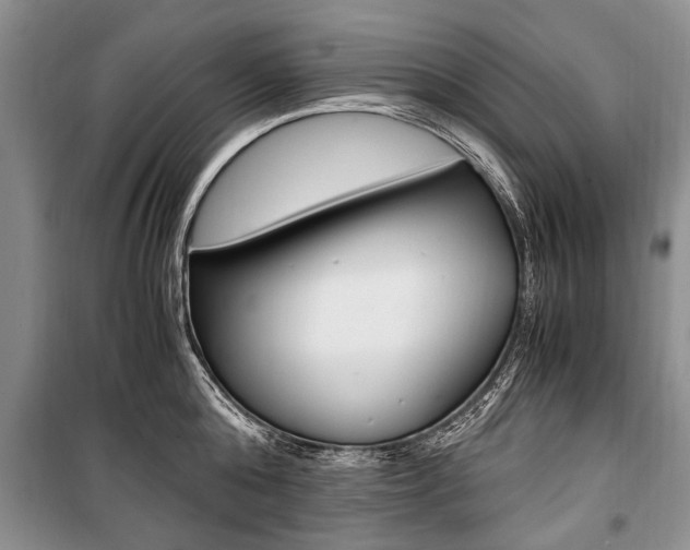 X0000101100808200806261043