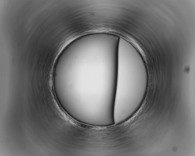 X0000101100810200806261043