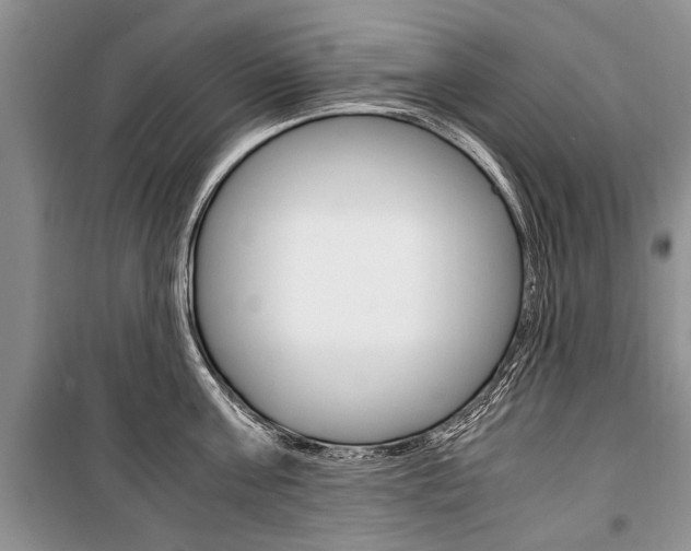 X0000101100811200806261043
