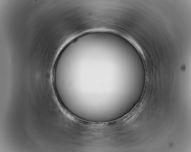 X0000101100813200806261043