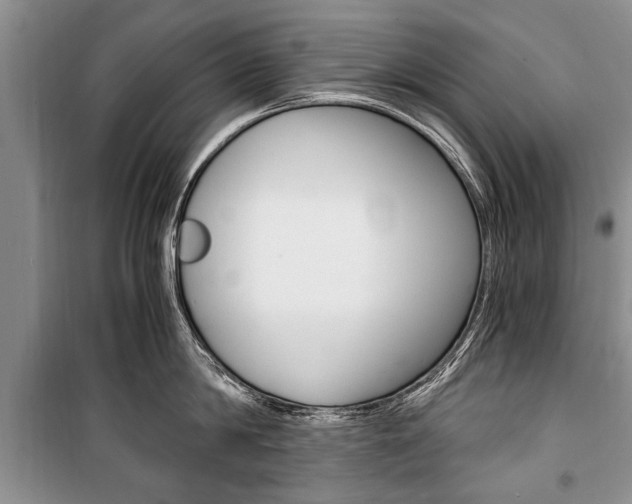 X0000101100814200806261043
