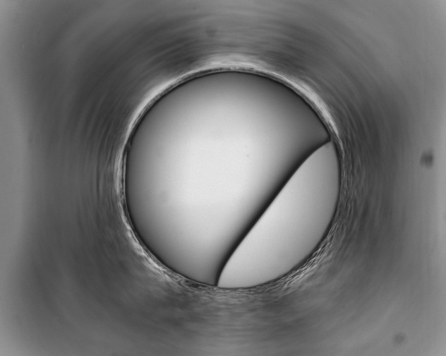 X0000101100815200806261043