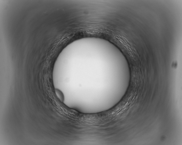 X0000101100817200806261042