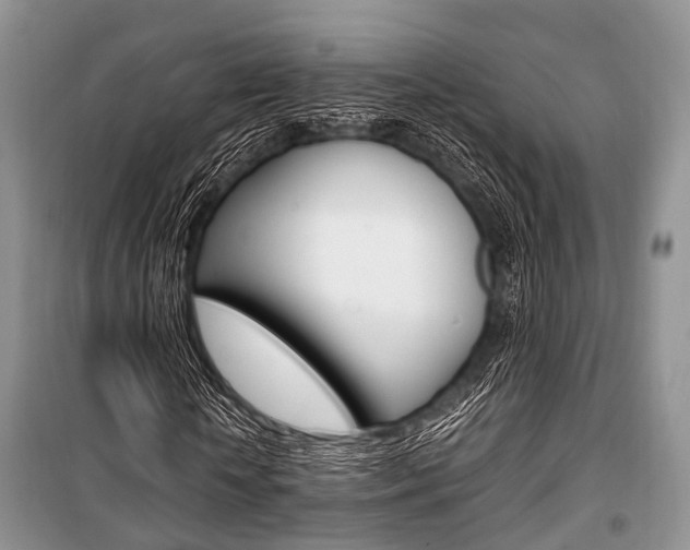 X0000101100818200806261042