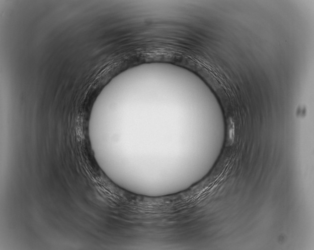 X0000101100819200806261042