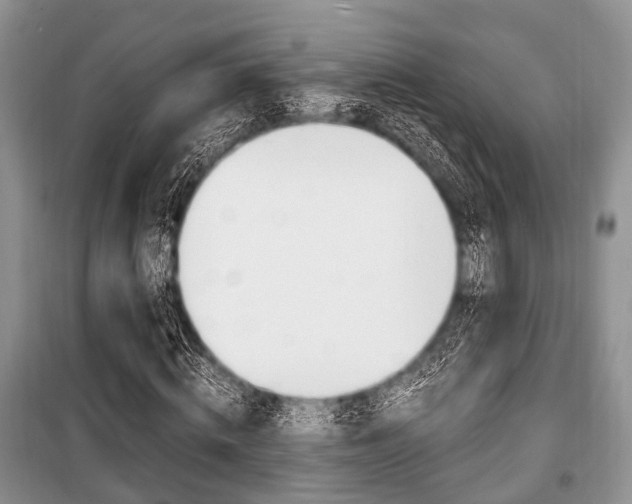 X0000101100820200806261042