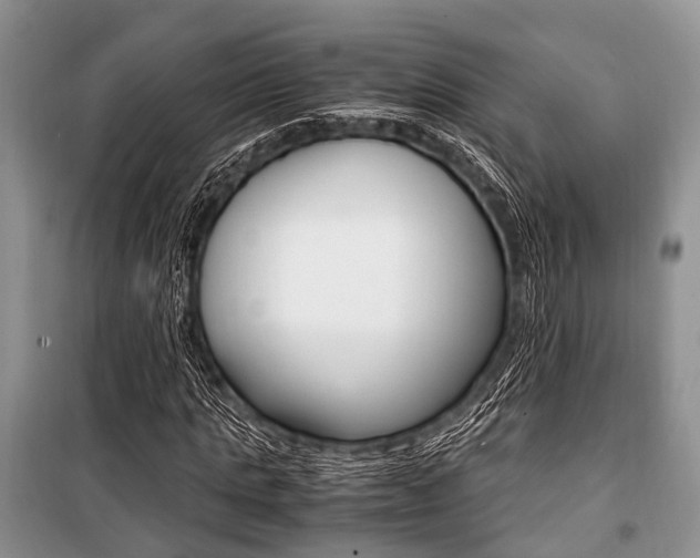 X0000101100821200806261042