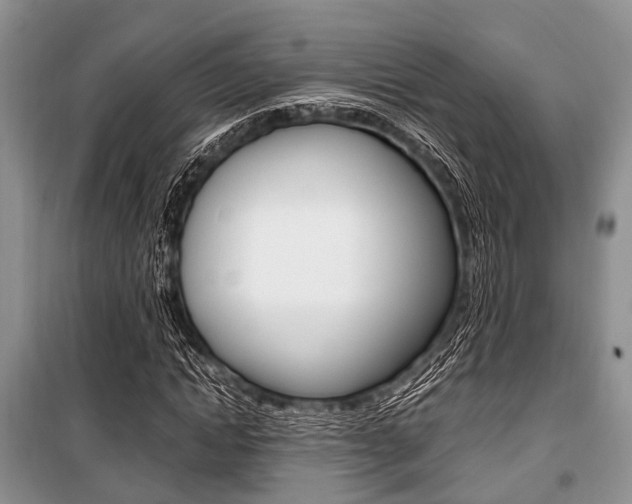 X0000101100822200806261042