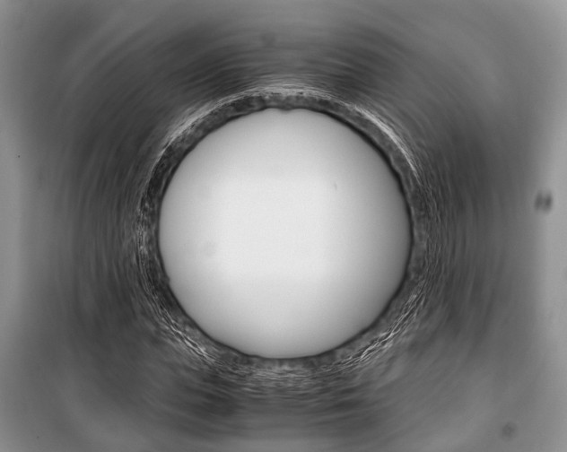 X0000101100823200806261042
