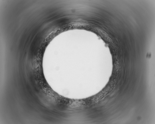 X0000101100824200806261042