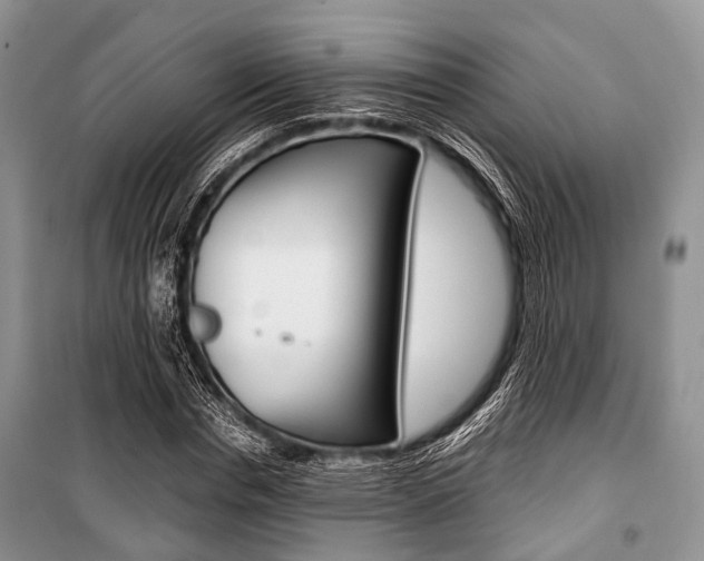 X0000101100826200806261042