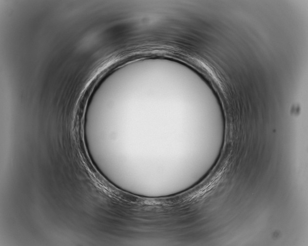 X0000101100827200806261042