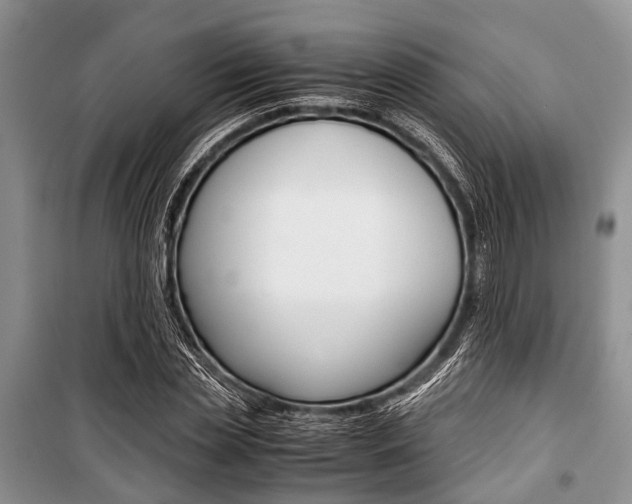 X0000101100829200806261042