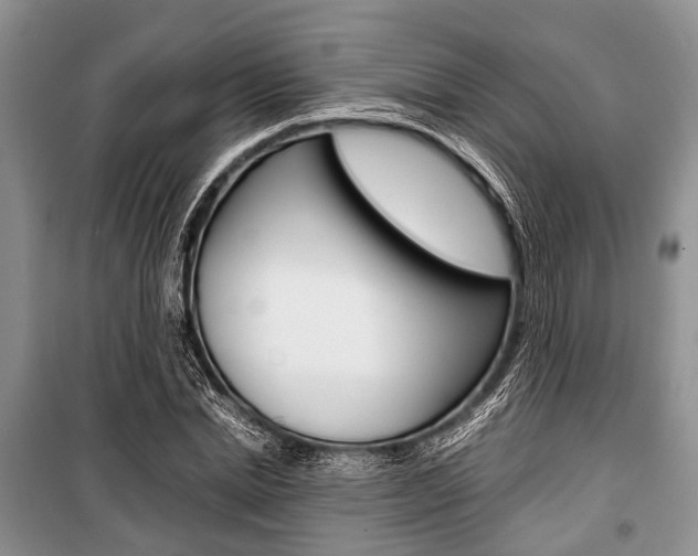 X0000101100830200806261042