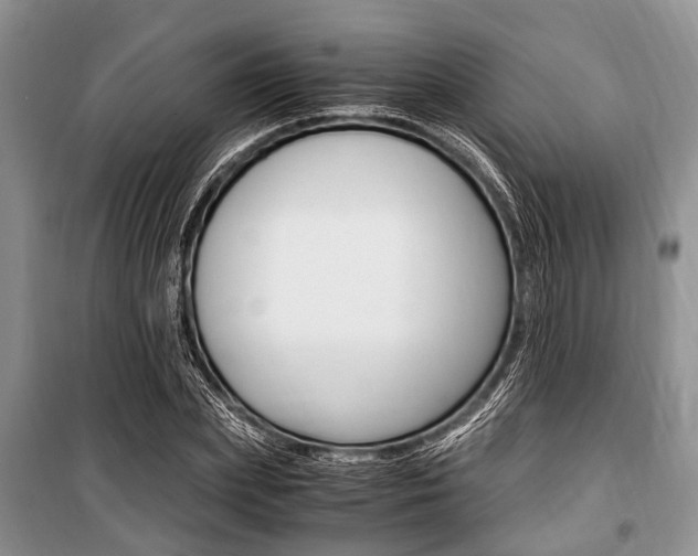 X0000101100831200806261042