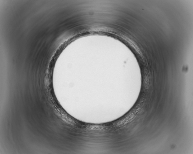 X0000101100832200806261042