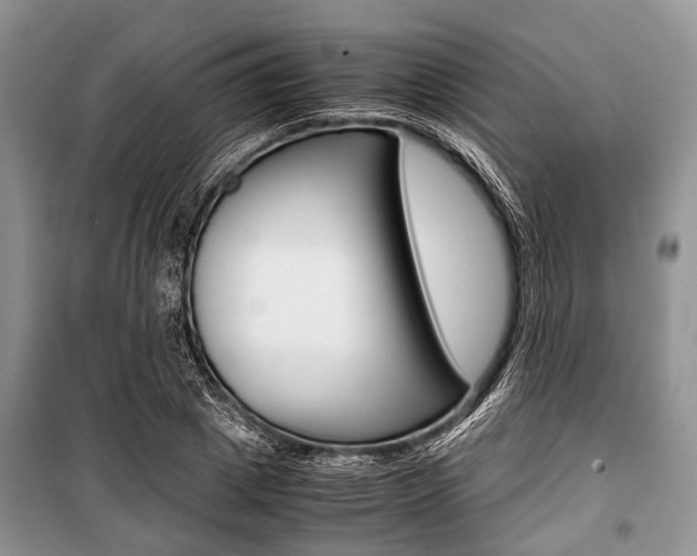 X0000101100833200806261042