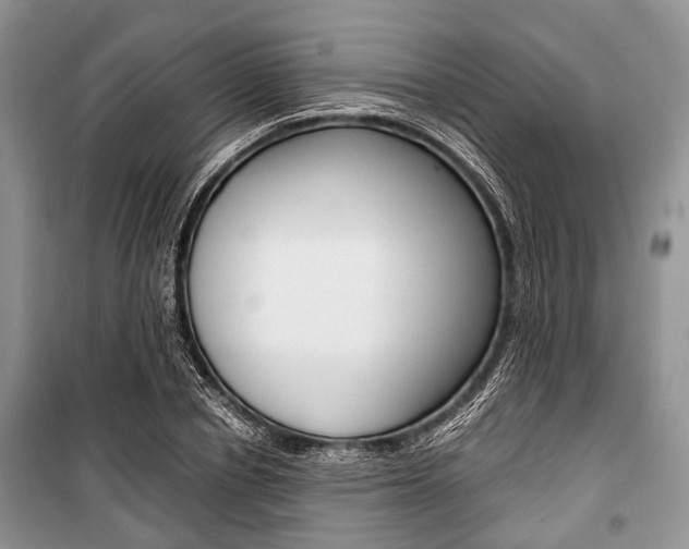 X0000101100834200806261042