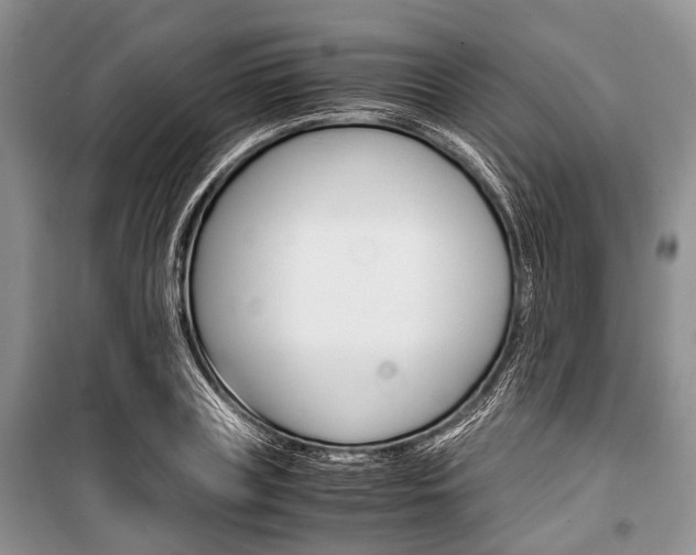 X0000101100835200806261042