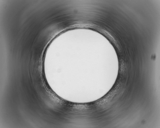 X0000101100836200806261042
